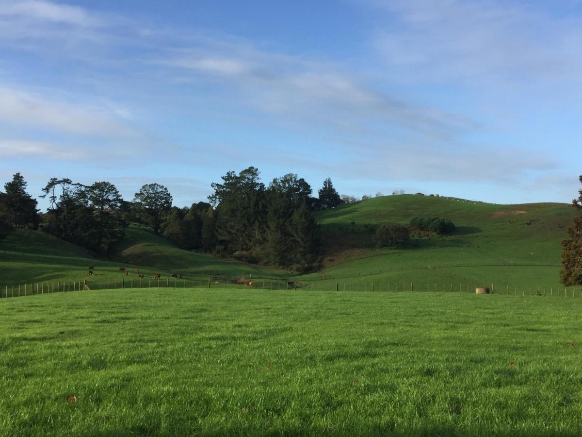 Veld View Bed And Breakfast Tuakau Bagian luar foto