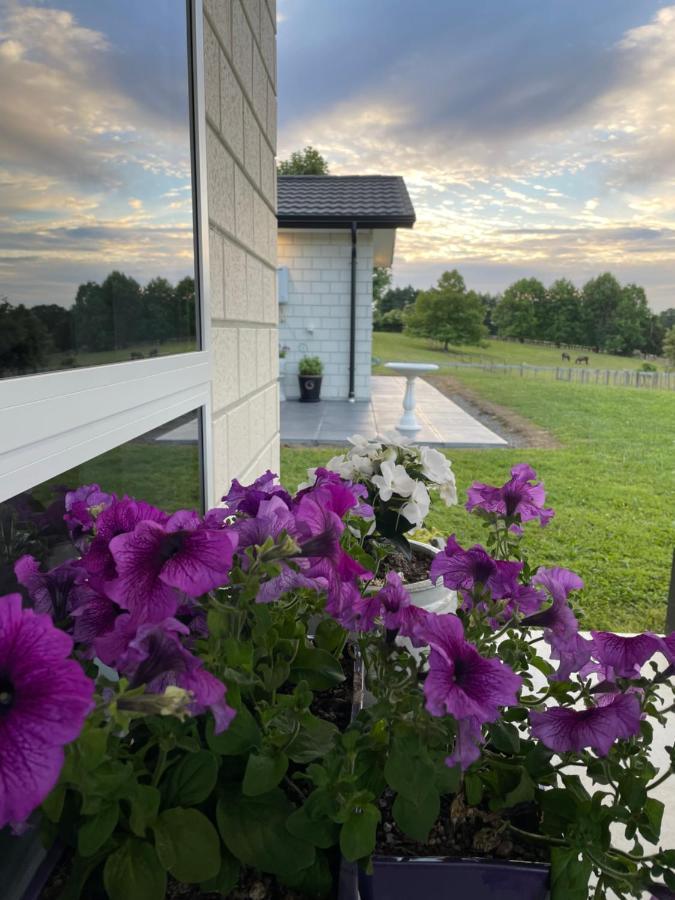 Veld View Bed And Breakfast Tuakau Bagian luar foto