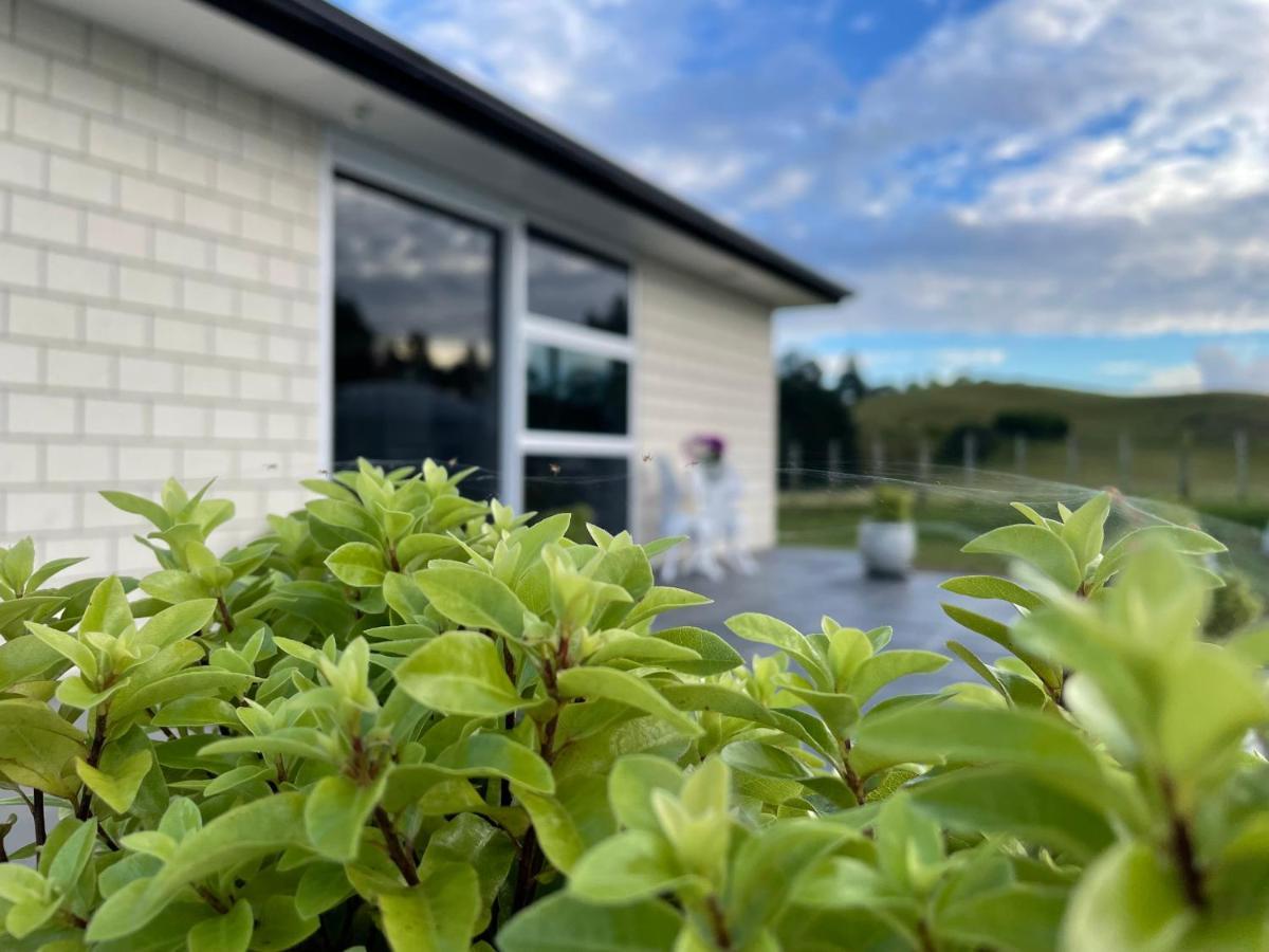 Veld View Bed And Breakfast Tuakau Bagian luar foto